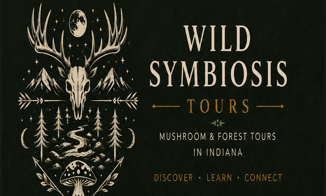 Wild Symbiosis Tours whitetail, forest, creek and mushroom artwork